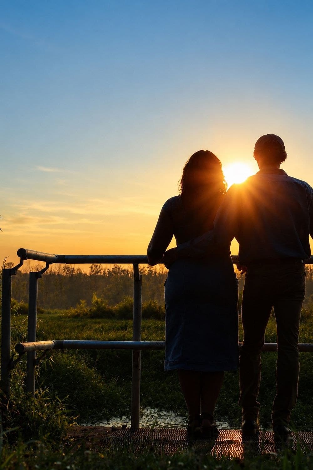 Couple embracing in a vineyard at sunset